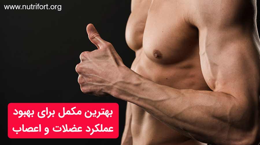 بهترین مکمل برای بهبود عملکرد عضلات و اعصاب