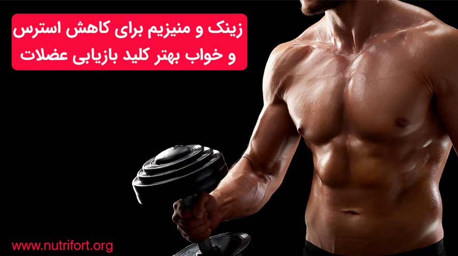 زینک و منیزیم برای کاهش استرس و خواب بهتر: کلید بازیابی عضلات