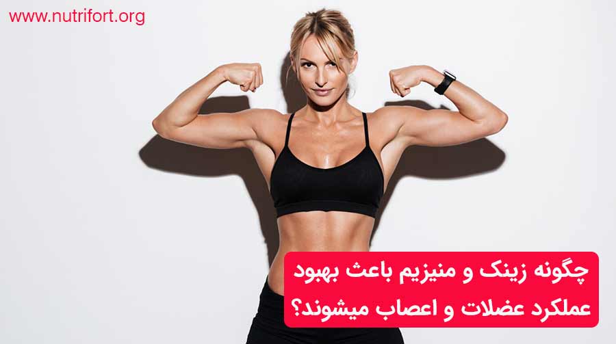 چگونه زینک و منیزیم باعث بهبود عملکرد عضلات و اعصاب میشوند؟