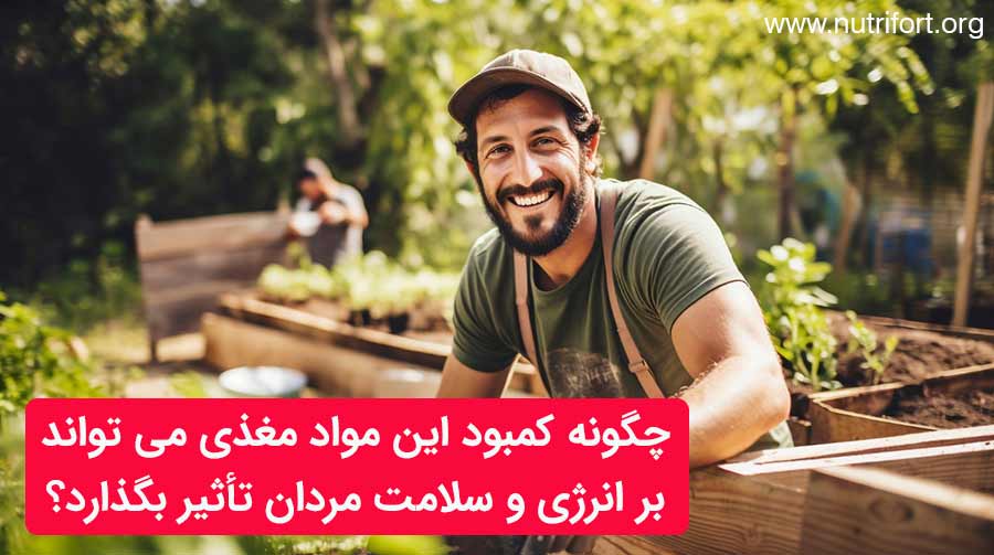 چگونه کمبود این مواد مغذی می تواند بر انرژی و سلامت مردان تأثیر بگذارد؟