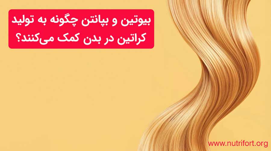 بیوتین و بپانتن چگونه به تولید کراتین در بدن کمک می‌کنند؟