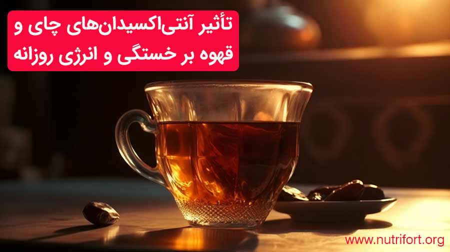تأثیر آنتی‌اکسیدان‌های چای و قهوه بر خستگی و انرژی روزانه