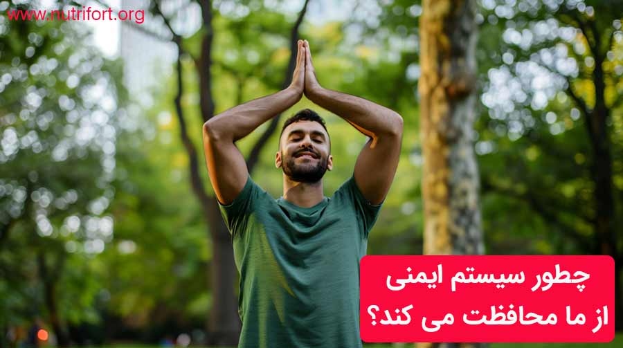 چطور سیستم ایمنی از ما محافظت می کند؟
