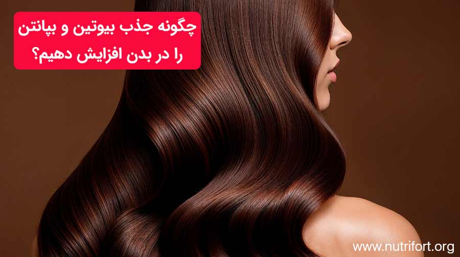 چگونه جذب بیوتین و بپانتن را در بدن افزایش دهیم؟