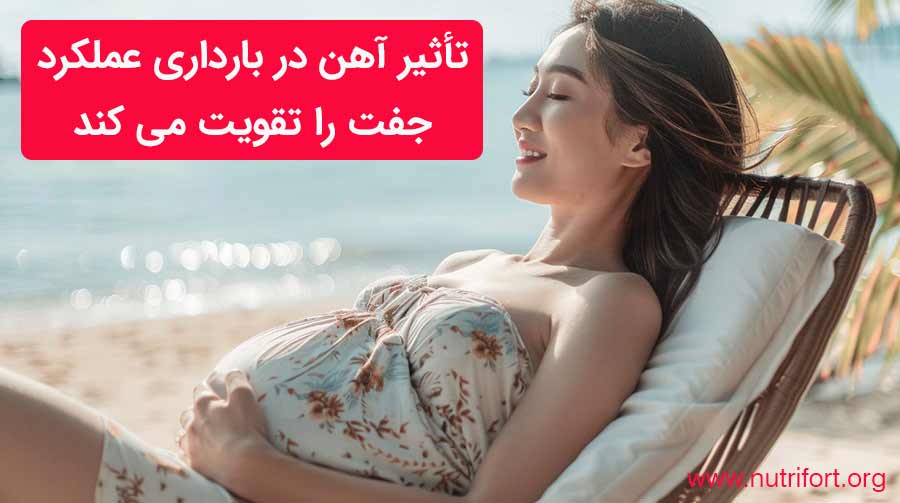 تأثیر آهن در بارداری عملکرد جفت را تقویت می کند