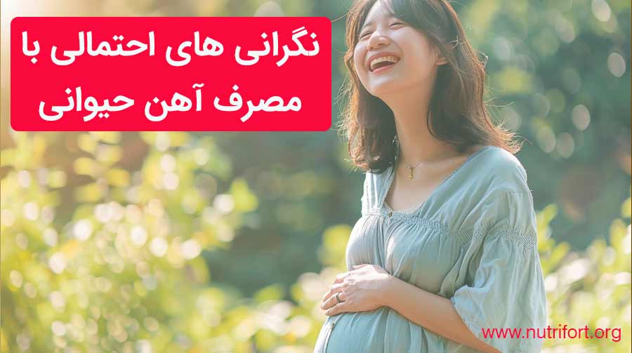 نگرانی های احتمالی با مصرف آهن حیوانی