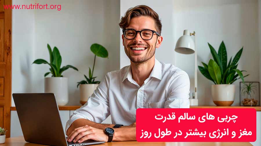 چربی های سالم قدرت مغز و انرژی بیشتر در طول روز